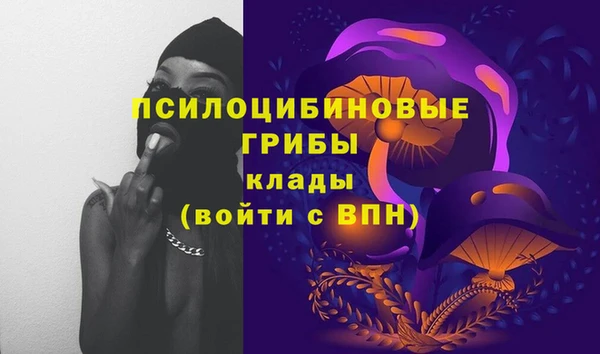 стаф Володарск