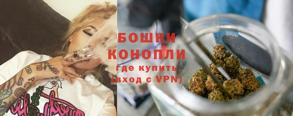 mdpv Волоколамск