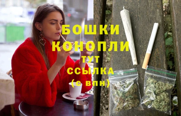 стаф Володарск