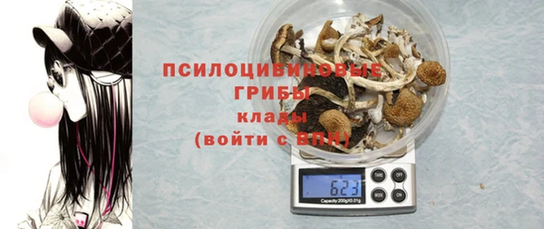 стаф Володарск